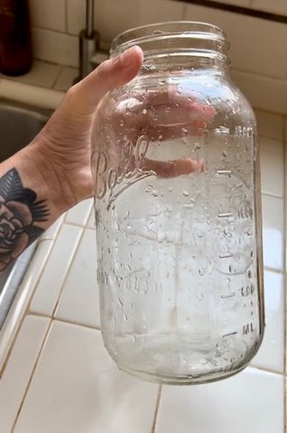 solar dying with avocados step 1