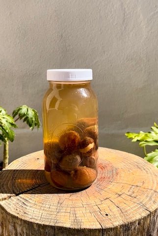 solar dying with avocados step 5