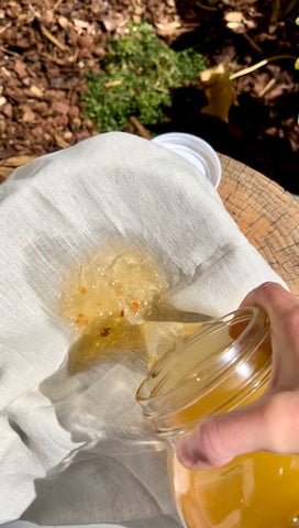 solar dying with avocados step 8